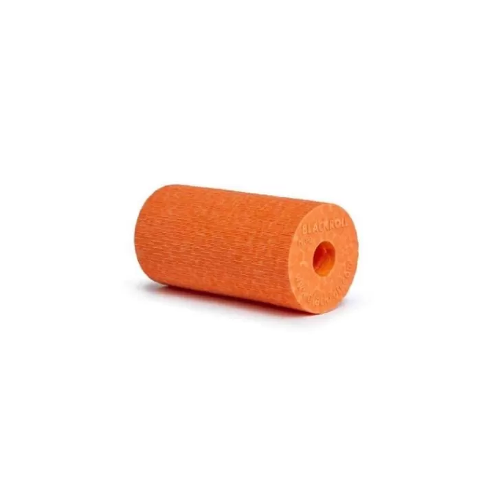 Blackroll Attrezzature Per Allenamento A Casa | Benessere/recupero-Micro Foam Roller (Pocket Size)