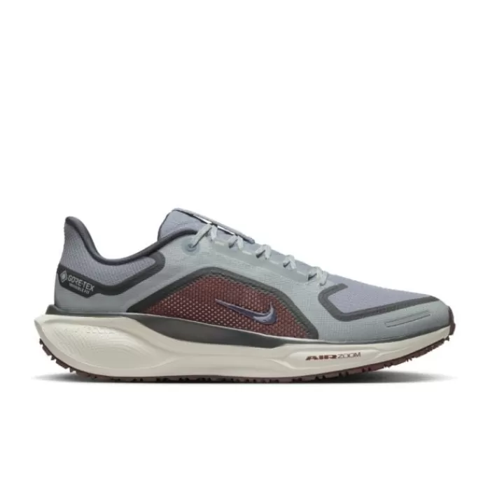 Uomo Nike Scarpe Neutrale | Allenamento Quotidiano-Pegasus 41 Gore-Tex