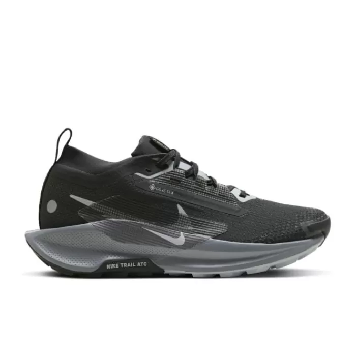 Donna Nike Scarpe Neutrale | Trail-Pegasus Trail 5 Gore-Tex